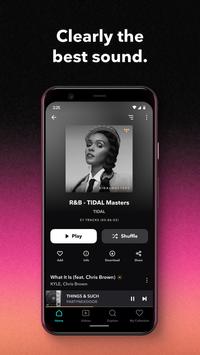 TIDAL 海报