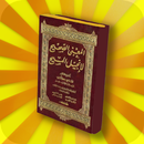 APK المعنى الصحيح