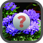 Guess the Flower icon