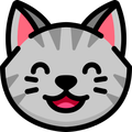 MeowVPN Plus
