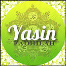 Yasin Fadilah Lengkap APK