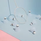 Badminton Wallpaper HD-icoon