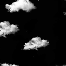 Wallpaper White and Black APK