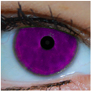 Baby Ojos Color Test APK
