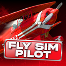 APK Fly Sim Pilot