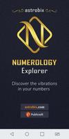 Numerology by Astrobix imagem de tela 1