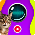 Cat Translator Speaker أيقونة