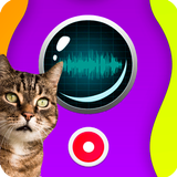 Cat Translator Speaker-icoon