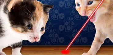 Laser Pointer for Cat