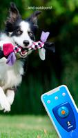 Dog Clicker syot layar 2