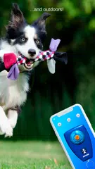 Dog Clicker Training 3D XAPK download