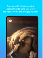 Baixar Música para gatos e cachorros XAPK