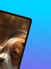 Baixar Música para gatos e cachorros XAPK