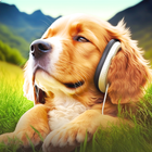 آیکون‌ Relax Music for Dogs