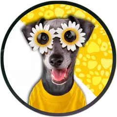 download Dog Stickers For WhatsApp APK