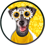 Dog Stickers For WhatsApp APK