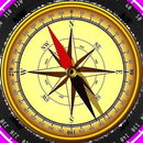 NAV Compass-AstroSanhita Accur APK