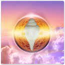 Sudarshana Pooja and Mantra APK