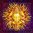 LifeSign ME Lite: Telugu App