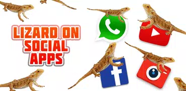 Lizard on social apps – funny prank 2018