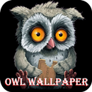 Meilleur Fonds d'écran Owl APK