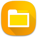 Gestionnaire de fichiers APK