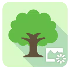 無料でasus Dayscene Live Wallpaper Apkアプリの最新版 Apk1 1 1 5 1808をダウンロード Android用 Asus Dayscene Live Wallpaper アプリダウンロード Apkfab Com Jp