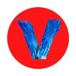 Free Video Downloader Browser