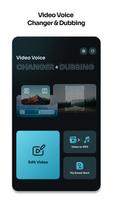 Video Voice Changer & Dubbing poster