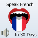 Learn and speak French Offline APK