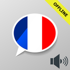 Learn French Vocabulary icône