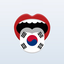 Learn Korean Vocabulary offline -speak korean free APK