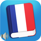 Learn French Phrases : French Phrasebook Offline أيقونة