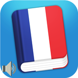 Learn French Phrases : French Phrasebook Offline 圖標
