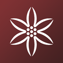 Alemany, Experiencia B2B APK