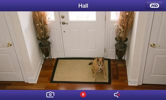 BT Smart Home Cam screenshot 2