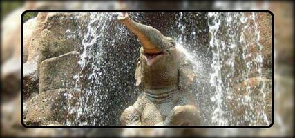 Baby Elephant Wallpaper پوسٹر