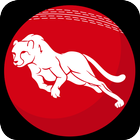 777 Cricket Live Line icon