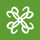CloverPool - Multi-coins Pool APK