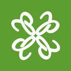 CloverPool أيقونة