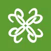 CloverPool - Multi-coins Pool APK