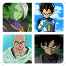 Guess The Dragon Ball Characters APK