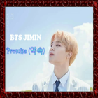 BTS JIMIN icône