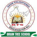 Brain Tree School Jajau APK