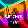 The Witcher 3 Test