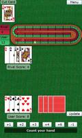 BTO Cribbage постер