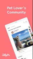 Jellypic - Pet Community পোস্টার