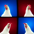 КоКоКо - Курица танцует и поёт иконка