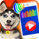 Dog Translator Phrasebook APK