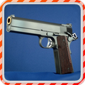 Handbook Of Firearms
